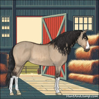 Horse Color:Bay Dun Brindle 