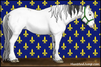 Horse Color:White Spotted Brown Dun Rabicano