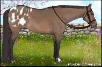 Horse Color:Bay Dun Blanket Brindle 