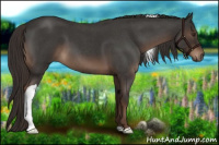 Horse Color:Liver Red Roan Tobiano