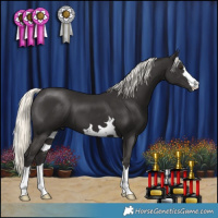 Horse Color:Liver Chestnut Mushroom 