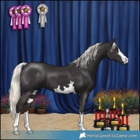 Horse Color:Liver Chestnut Mushroom 