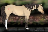 Horse Color:Buckskin Roan Dun Tobiano