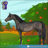 Horse Color:Brown Dun
