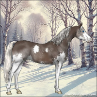 Horse Color:Liver Chestnut Mushroom Splash 