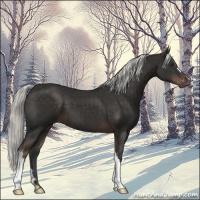 Horse Color:Liver Chestnut Mushroom 