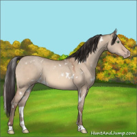 Horse Color:White Spotted Amber Champagne Dun 