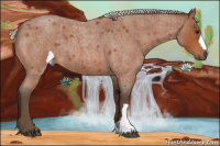 Horse Color:Silver Bay Roan 