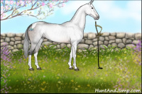 Horse Color:Gray Brown Tobiano 