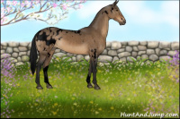 Horse Color:Gray Void White Spotted Brown Dun Blanket Rabicano