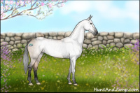 Horse Color:Gray Void Brown Dun Tobiano Rabicano  and Void Brown Dun Sabino Rabicano 