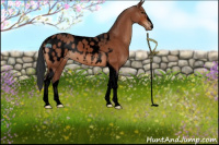Horse Color:Void Bay Sabino Tobiano Appaloosa Rabicano 