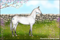 Horse Color:Gray Void Brown Dun Tobiano Rabicano  and Void White Spotted Brown Dun Tobiano Appaloosa Rabicano 