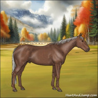 Horse Color:Silver Black