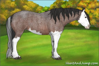 Horse Color:Brown Roan Splash 