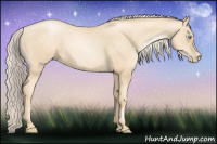 Horse Color:Gold Cream Champagne Pearl 