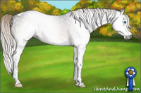 Horse Color:Gray Silver Buckskin Splash Tobiano