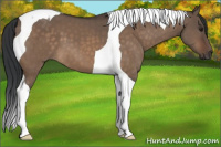 Horse Color:Brown Dun Tobiano 