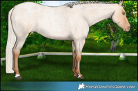 Horse Color:Silver Brown Roan Pearl Dun Rabicano