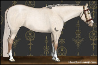 Horse Color:Silver Brown Roan Pearl Dun Sabino 