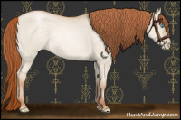 Horse Color:Buckskin Pearl Dun