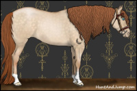 Horse Color:Buckskin Roan Pearl Dun 