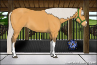 Horse Color:Silver Buckskin 