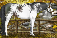 Horse Color:White Spotted Brown Mushroom 