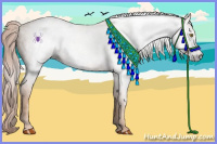 Horse Color:Gray Gold Champagne 