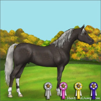 Horse Color:Liver Chestnut Mushroom 