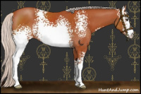 Horse Color:White Spotted Silver Bay 