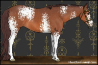 Horse Color:White Spotted Chocolate Brown 