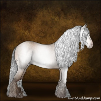 Horse Color:Gray Amber Champagne 