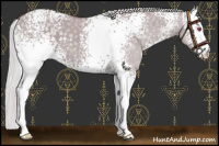 Horse Color:White Spotted Chocolate Silver Smoky Grullo Chinchilla 