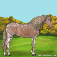 Horse Color:Chestnut Ice 
