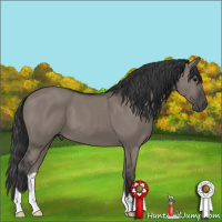 Horse Color:Grullo 