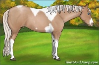 Horse Color:Silver Blue Roan Pearl Tobiano Frame 