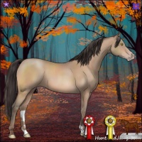 Horse Color:Amber Champagne