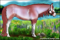 Horse Color:Watercolor White Spotted Liver Red Onyx Rabicano 