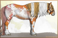 Horse Color:Watercolor White Spotted Liver Red Onyx Rabicano