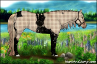 Horse Color:Void Plaid  Liver Red Dun Tobiano 
