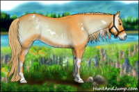 Horse Color:Watercolor White Spotted Liver Red Onyx