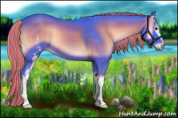 Horse Color:Watercolor White Spotted Liver Red Onyx 