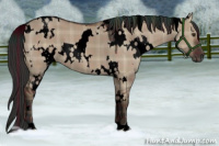 Horse Color:Void Plaid  White Spotted Liver Red Dun 
