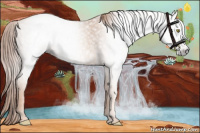 Horse Color:Gray Gold Champagne Roan 