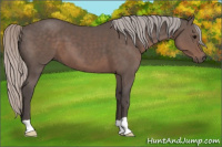 Horse Color:Silver Black 