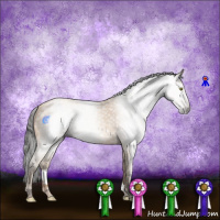 Horse Color:Gray Amber Champagne 