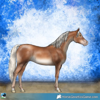 Horse Color:Gray Gold Champagne Mushroom 