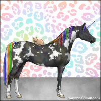 Horse Color:Painted White Spotted Midnight Chocolate Silver Grullo Chinchilla Ice 