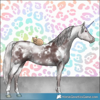 Horse Color:White Spotted Chocolate Silver Brown Chinchilla Dun Sabino Brindle